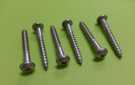 Stainless Steel Screws